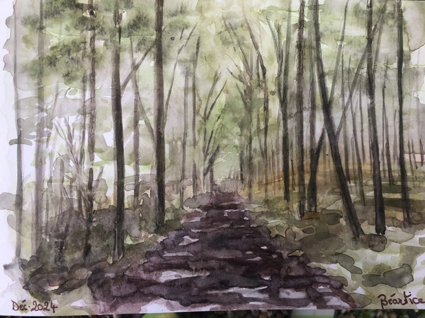Chemin forestier