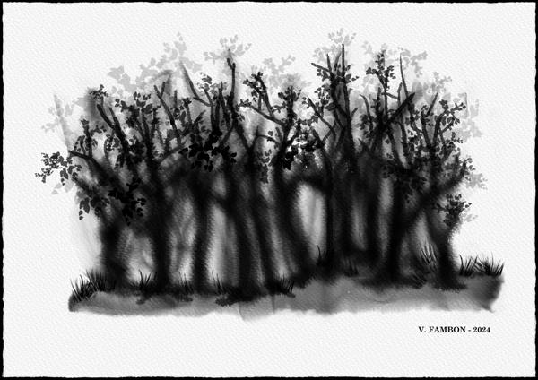 Forêt - Numérique