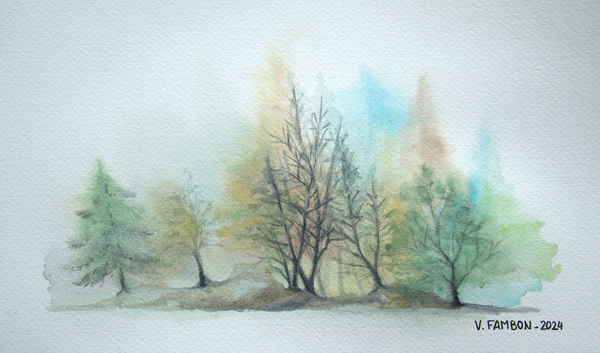 Brouillard