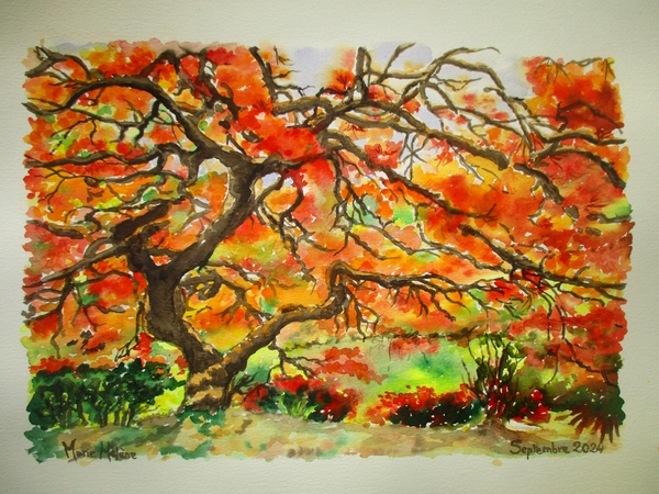 Arbre d'automne