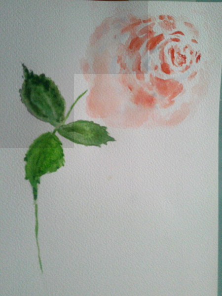 une rose