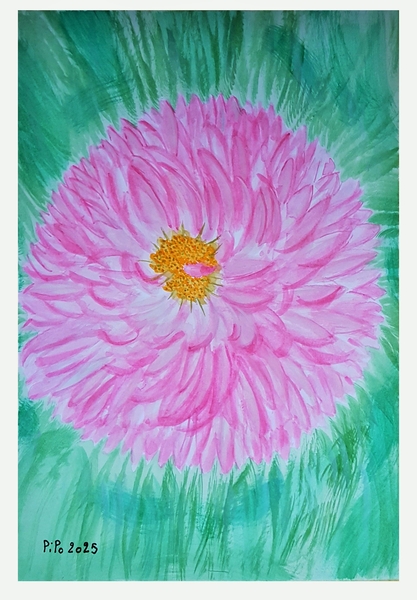 Reine-Marguerite