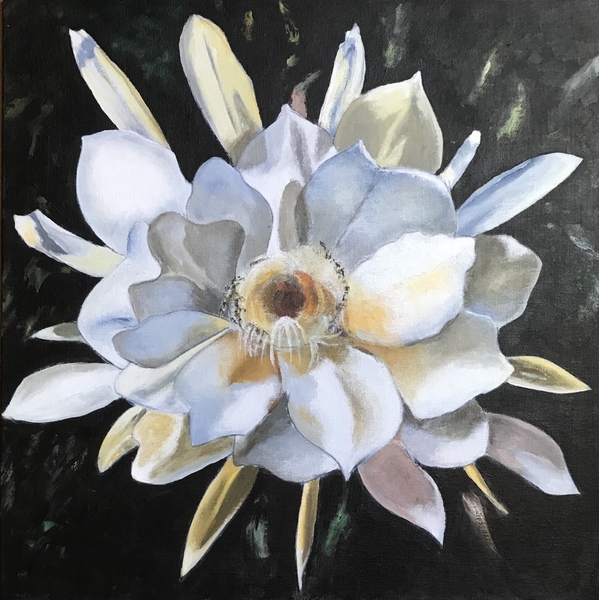 Fleur de lune