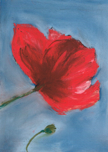 coquelicot