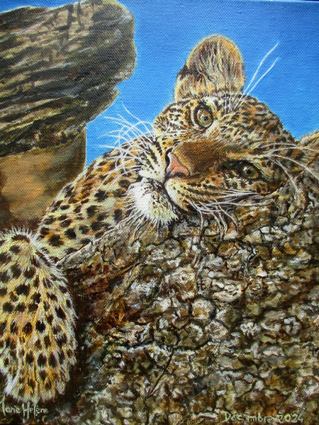 La sieste du jaguar