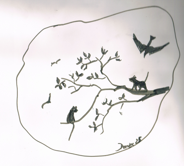 chats et oiseaux