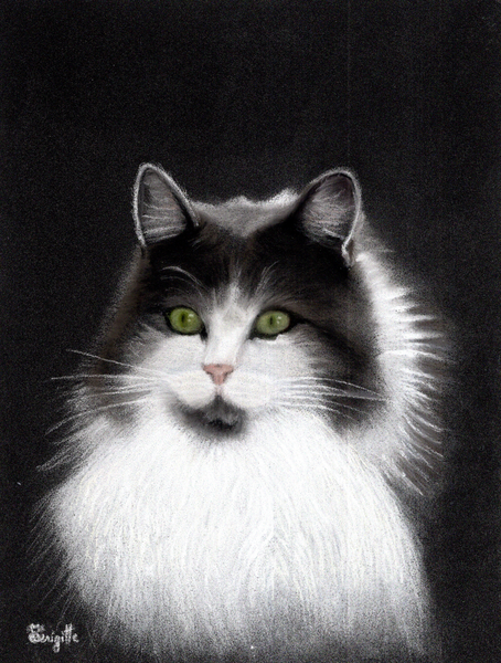 Vent Gris