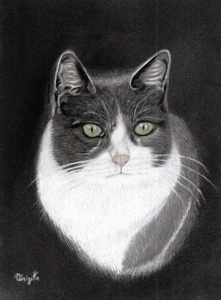 Arya