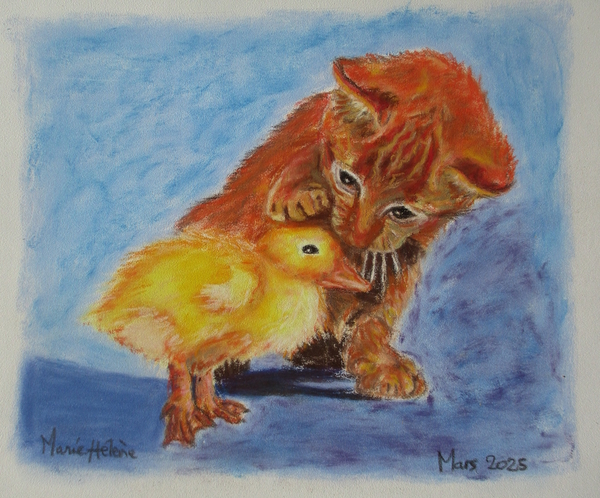 Caneton et chaton