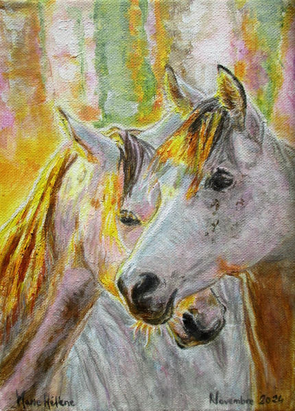 Chevaux au coucher de soleil