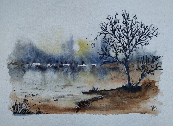Paysage d'hiver