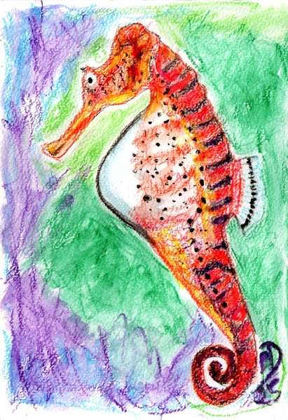 hippo1