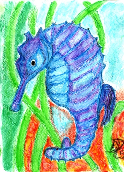 hippo2
