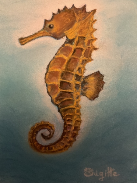 Hippocampe