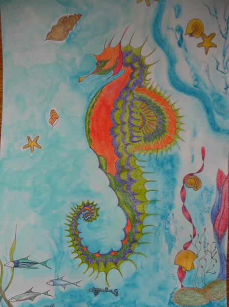 Hippocampe