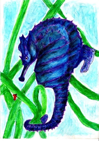 hippo4
