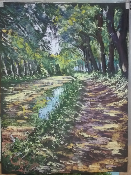 L'Aude