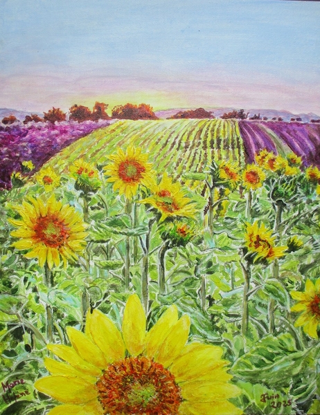 Tournesols et lavandes