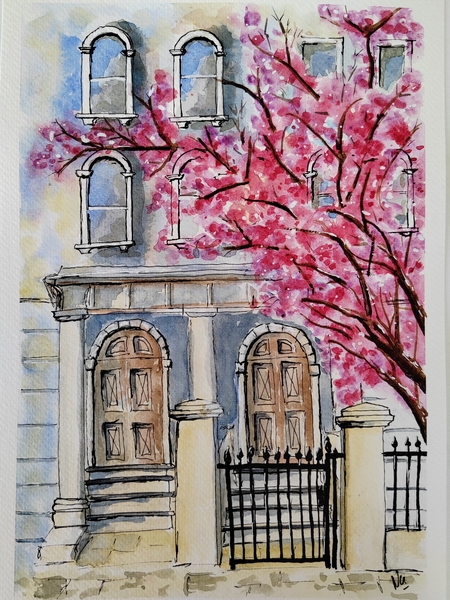 Cerisier en ville